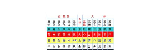 護士五行屬性|五行屬性查詢表